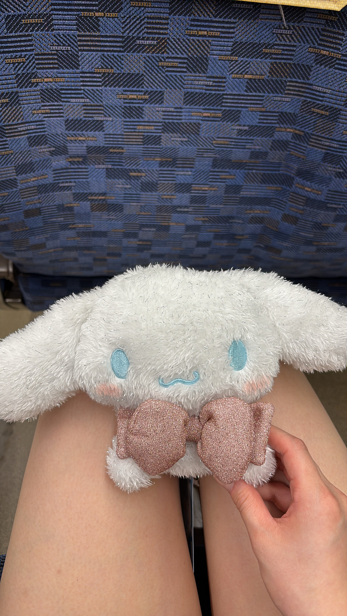 遅くなりましたが！