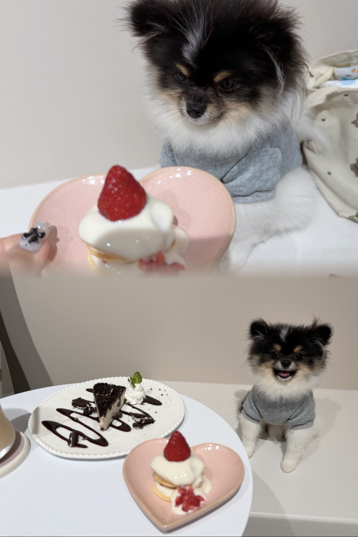久しぶり????´-